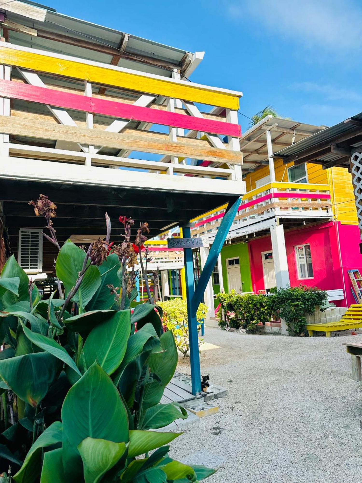 Go Slow Guesthouse Caye Caulker Kültér fotó